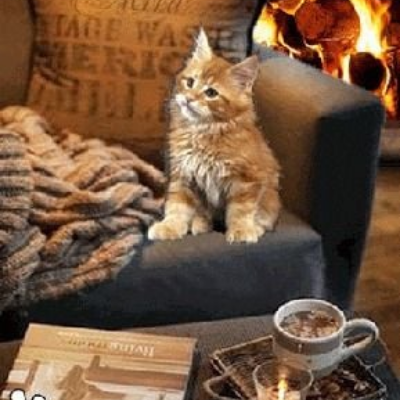 источник фото - Pinterest 