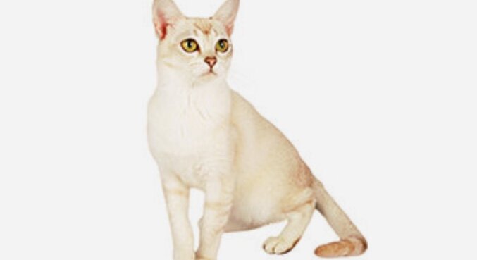 Фото взято с интернета для иллюстрации