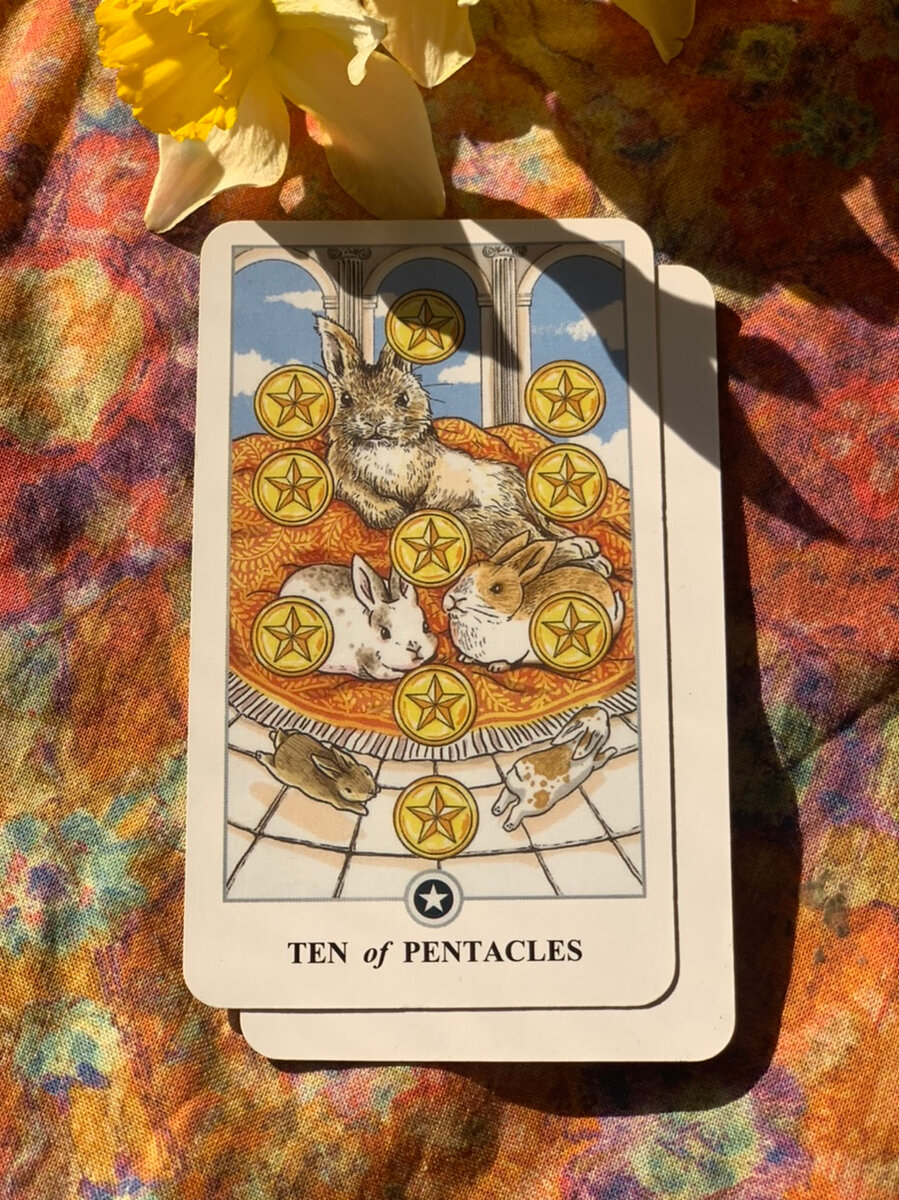 Фото из личной коллекции автора 