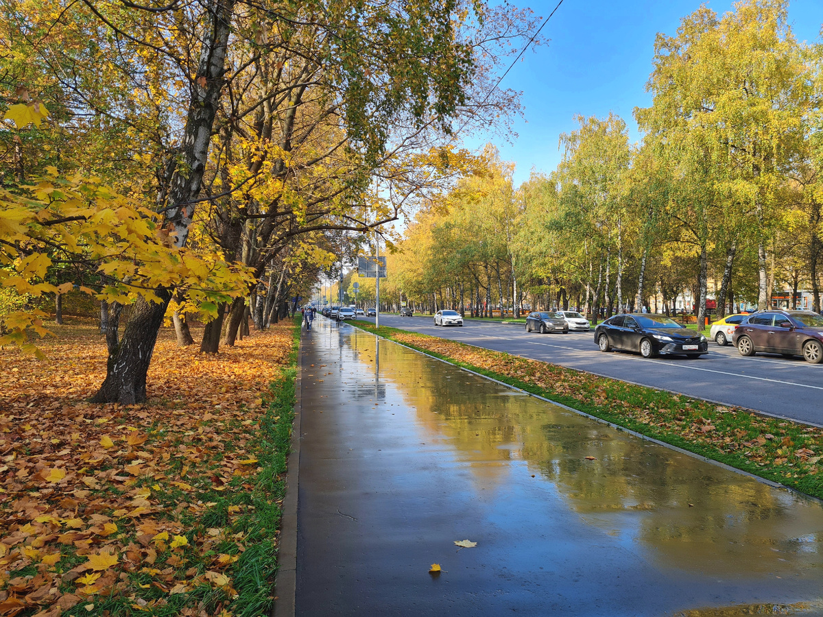 Основная камера