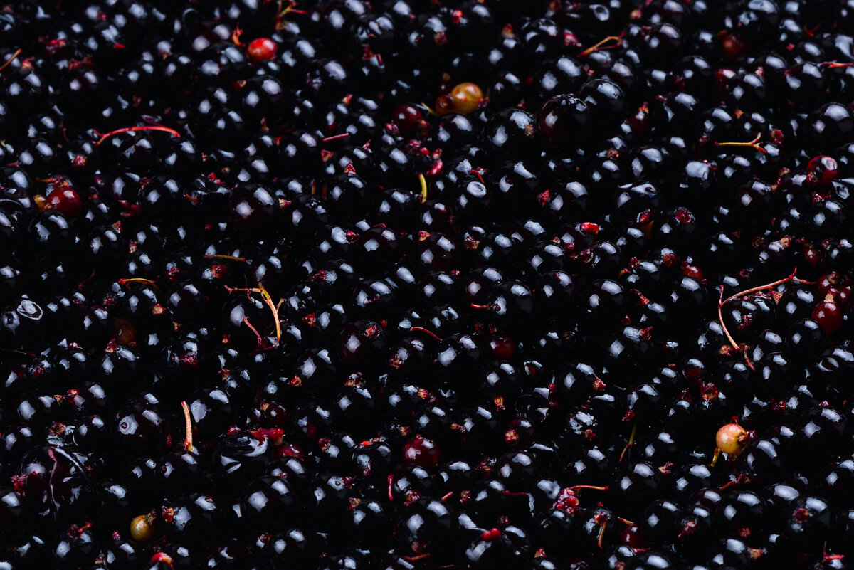 Ягоды смородины.