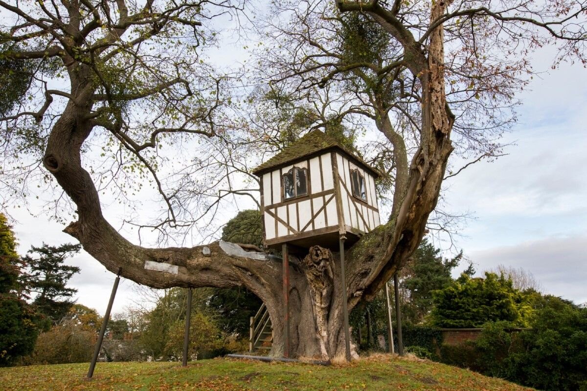 Tree house is