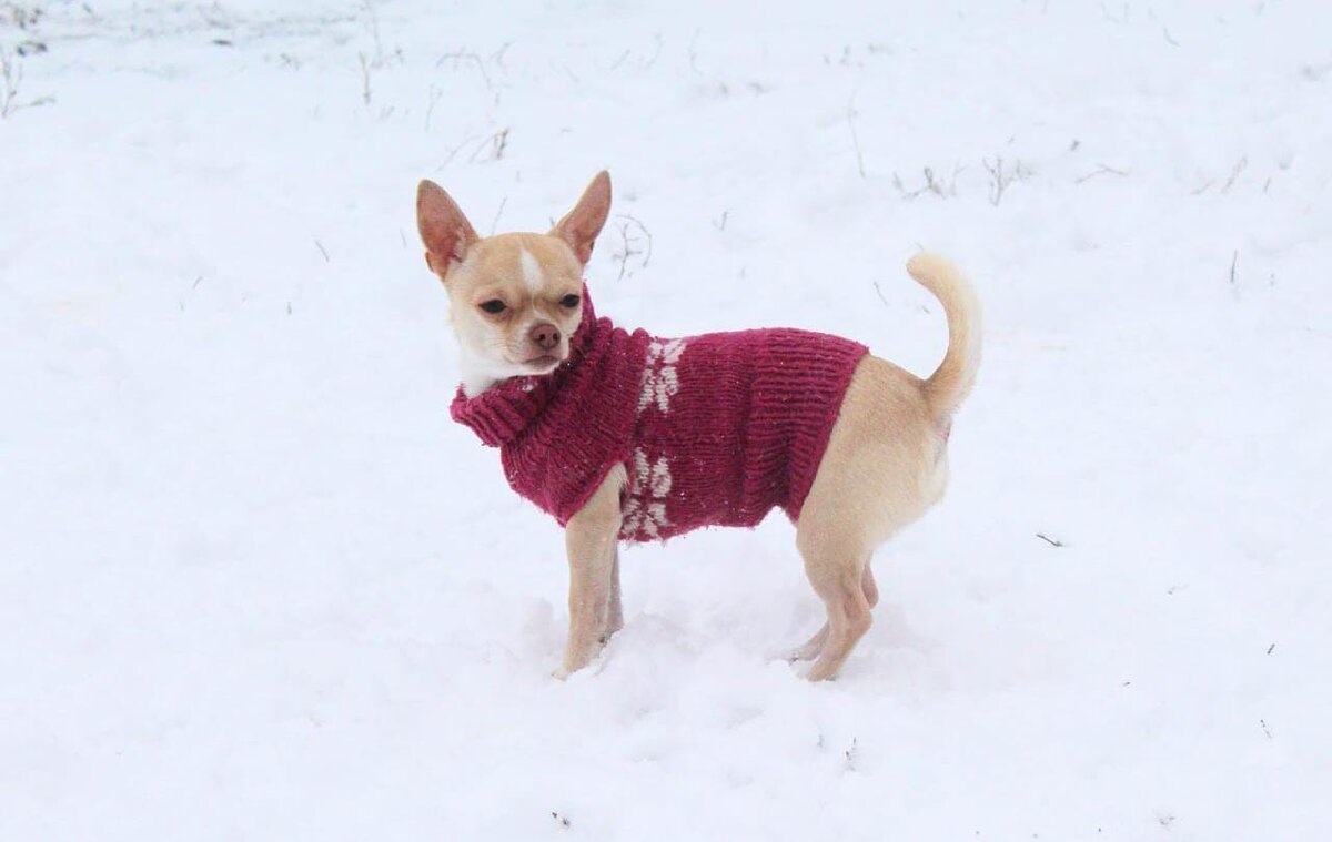 на юге таких свитерочков было достаточно