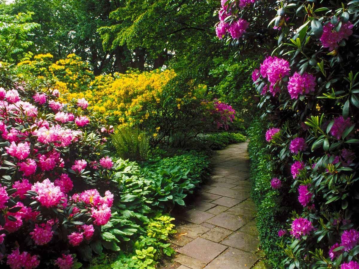 Яндекс картинки