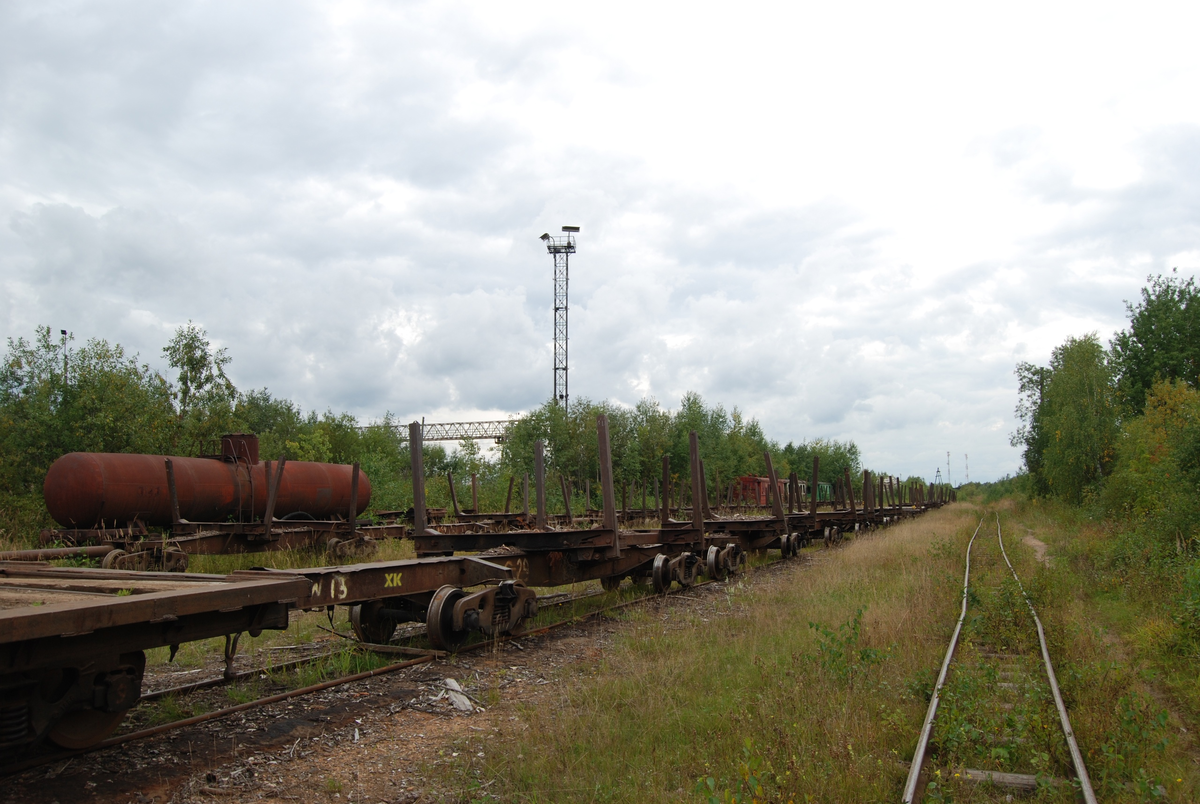 Порожние сцепы на Опаринской УЖД (Кировская область, Опаринский район)