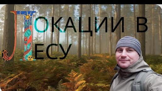 🌄🌲 🏕️ ЛОКАЦИИ В ЛЕСУ. |ПРОДОЛЖАЕМ ПУТЬ| ПОХОДНЫЕ ИСТОРИИ. 🌲 🏕️🌄