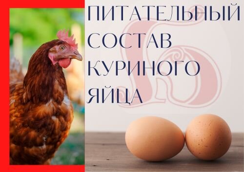 КУРИЦА И ЯЙЦА