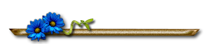 Храни нас Господь!