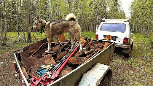 Забрался в лес на 48 часов копа. Прицеп под завязку.