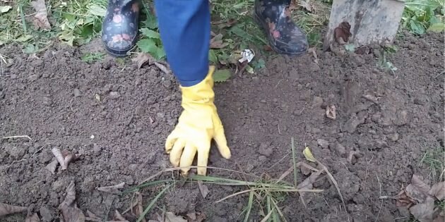 Кадр: Любовь Степанова / YouTube📷
