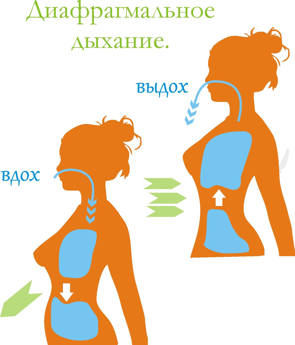 Шишова диафрагмальное дыхание как выполнять. Диафрагмальное дыхание. Диафрагмал ное дыхание. Дыхательные практики для диафрагмы. Схема правильного дыхания.