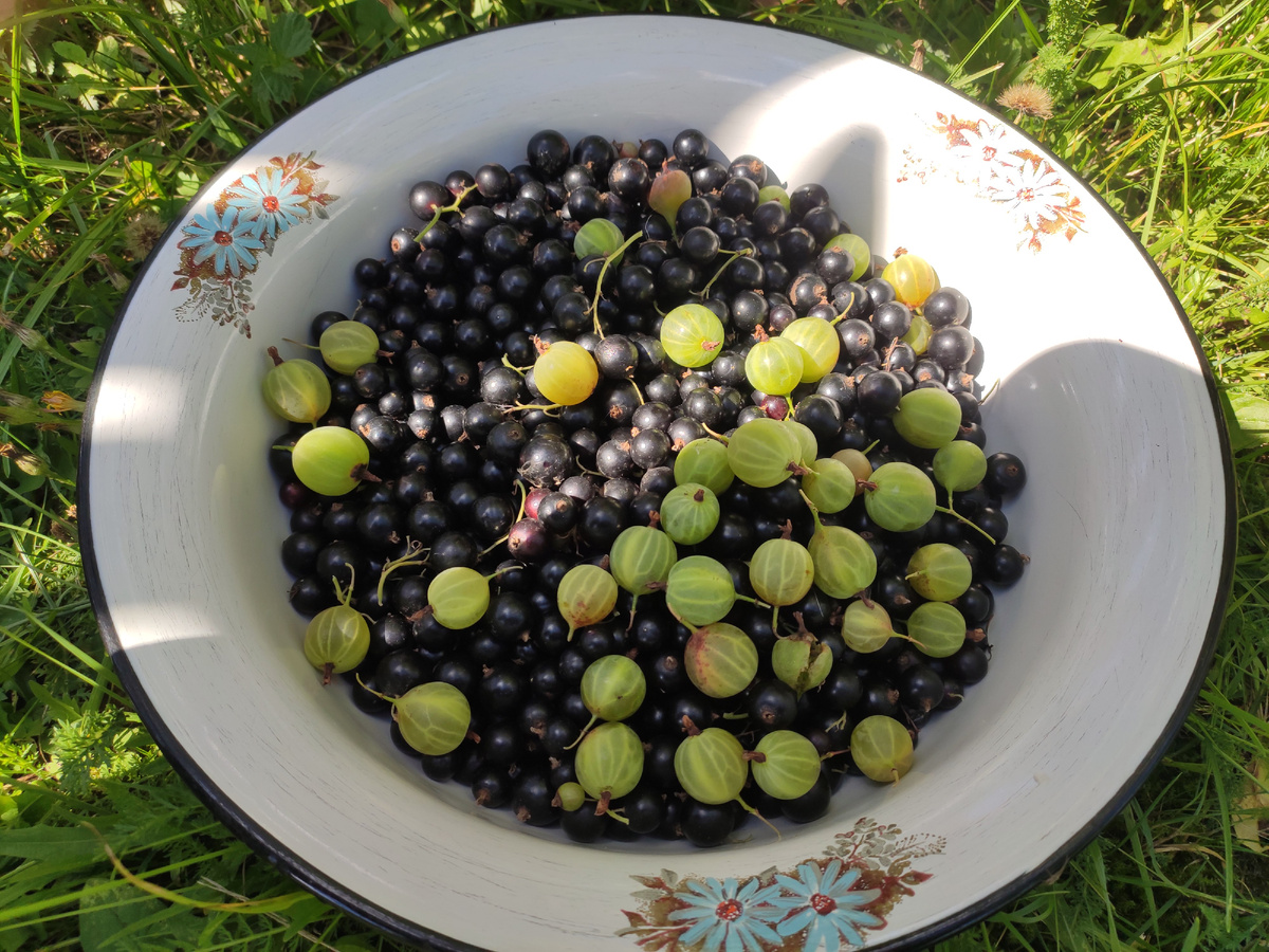 Время собирать... 