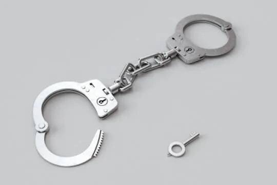    Коллега Брюна Якушев признал вину в мошенничестве и пошел на сделку со следствием