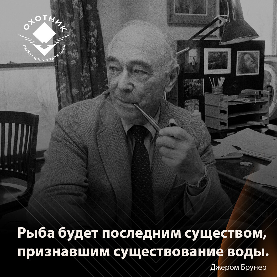 Сытый голодному не товарищ: эксперимент, который доказал, что бедные и  богатые видят мир по-разному | Охотник за Мечтой | Дзен