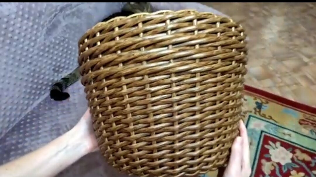 Плетёное кашпо из ротанга своими руками. Урок плетение из ротанга ...