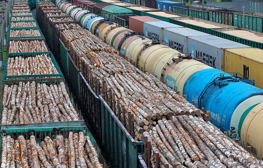    Казахстан отказался разблокировать транзит российского леса в Китай