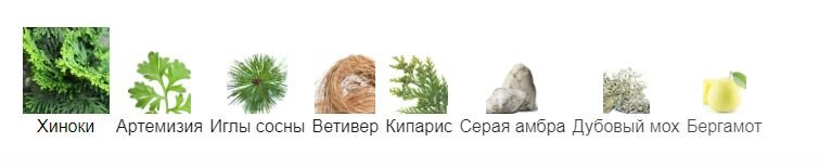 fragrantica.ru