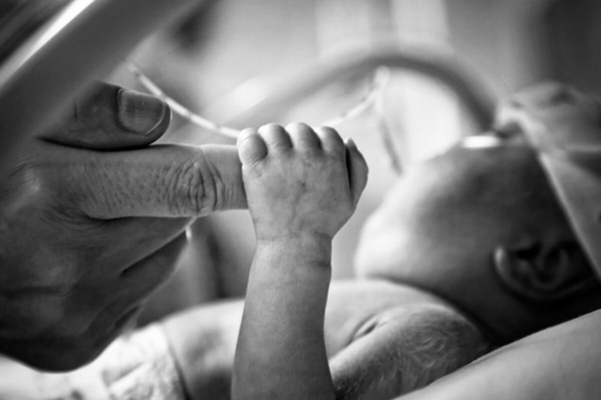 Источник: Яндекс