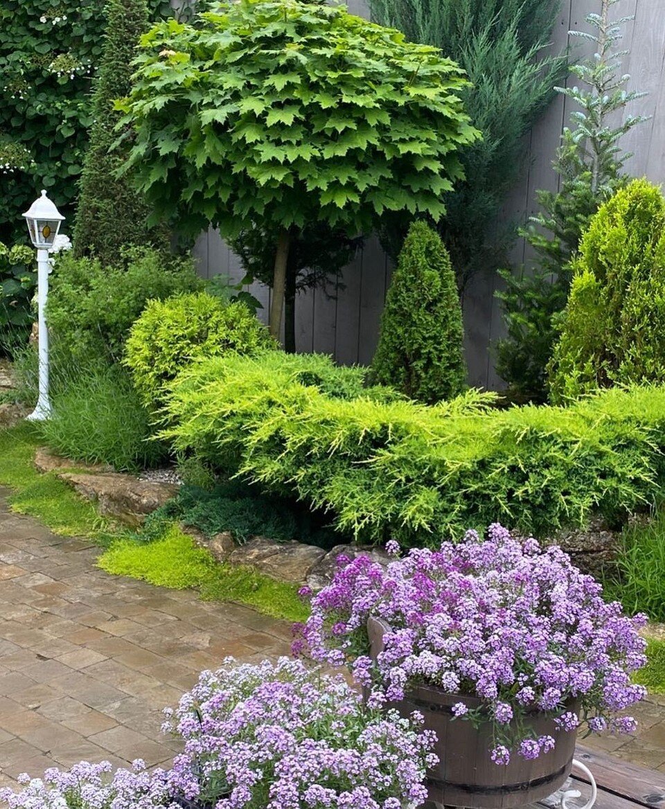    Соцсети блогера _olya_ola_