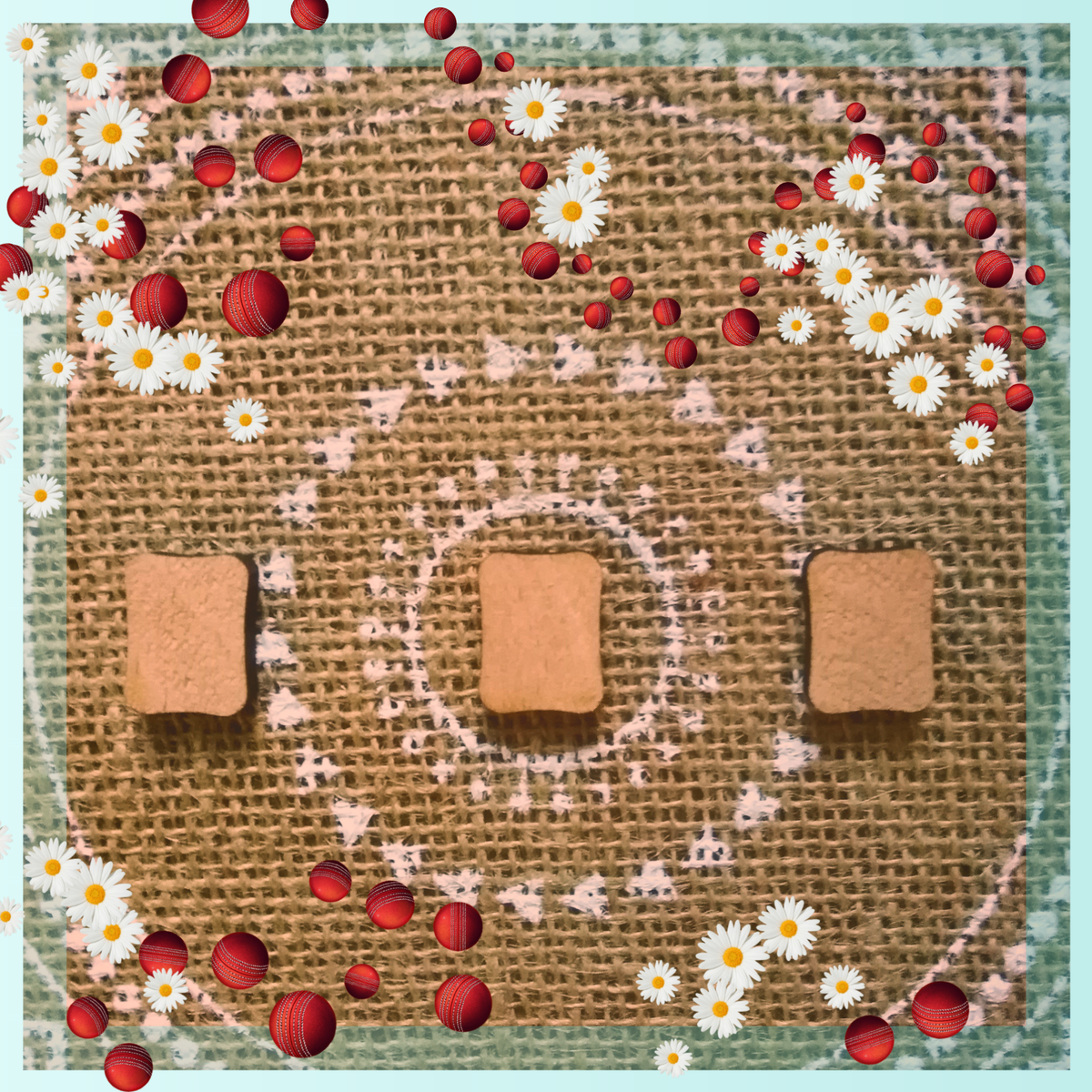 Фото и коллаж автора