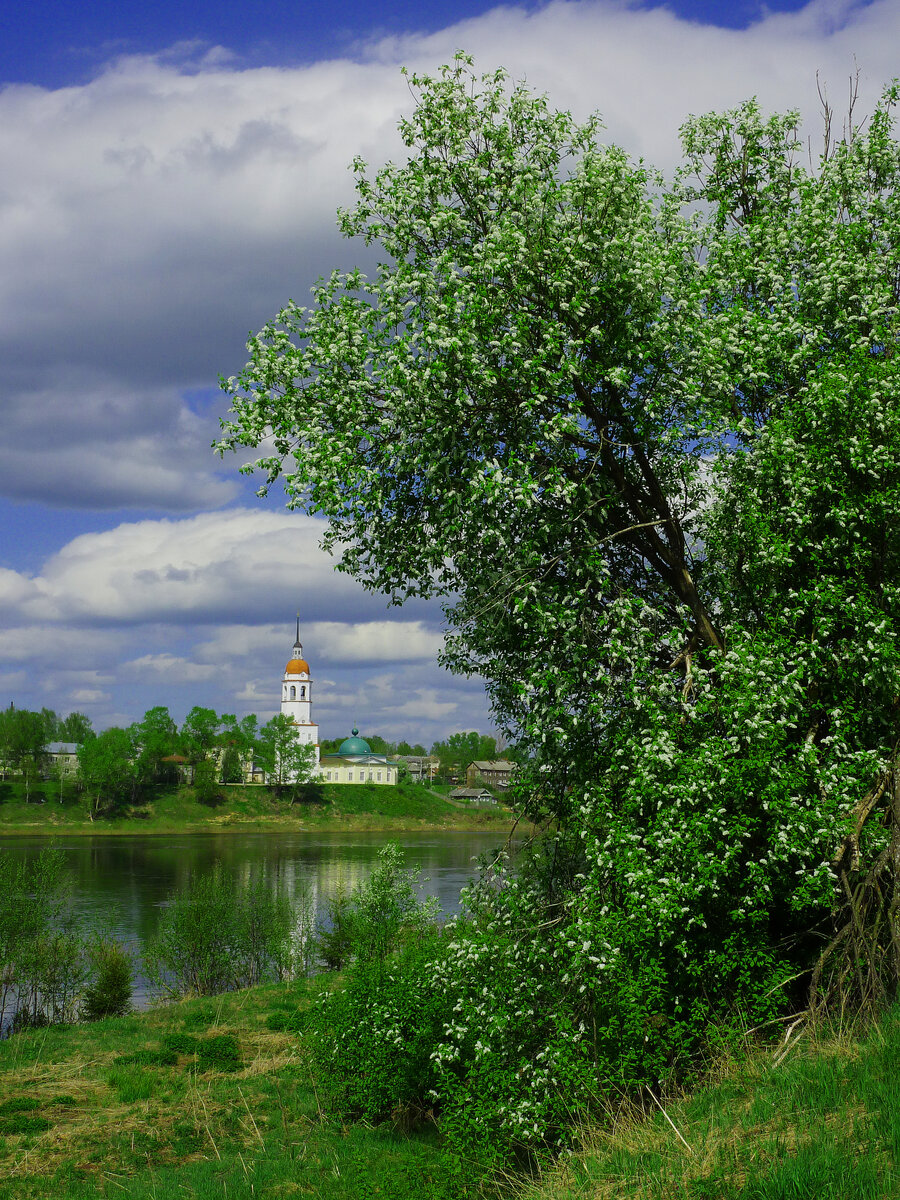 Тихий город - родина моя | Природа дарит вдохновение | Дзен