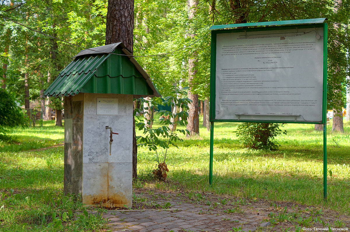 Город на память». 832. Лосинка. Улица Коминтерна | Город на память | Дзен