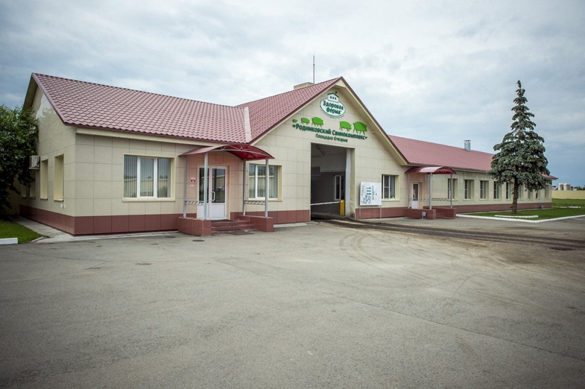    На торги по продаже свинокомплекса на Южном Урале поступила одна заявка