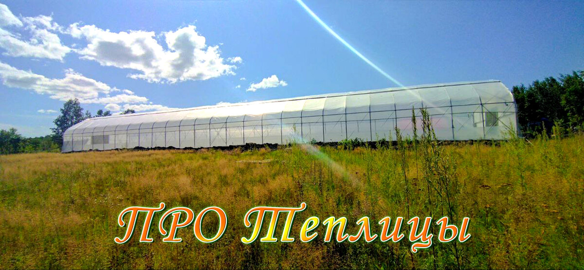 Теплица фермерская под пленку