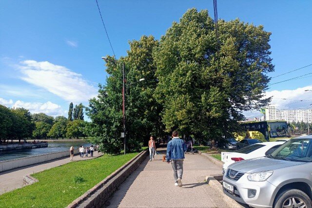   Фото из архива Калининград.Ru