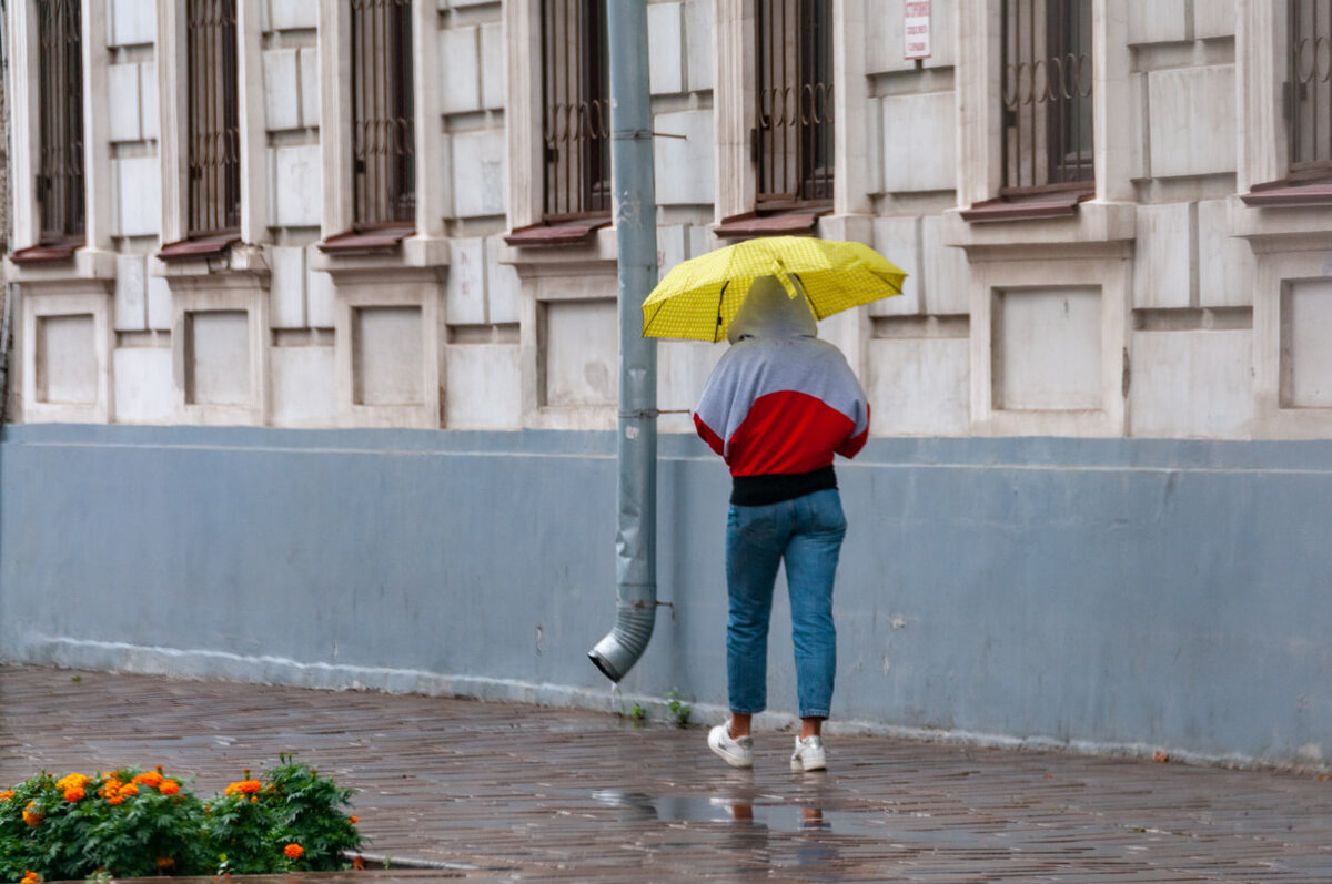Фото: ФедералПресс / Светлана Возмилова