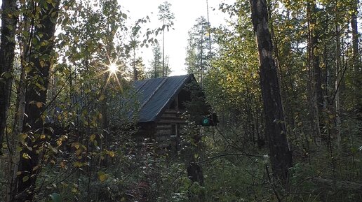 Ремонт избушек. Медведь на фотоловушке. Хозработы.