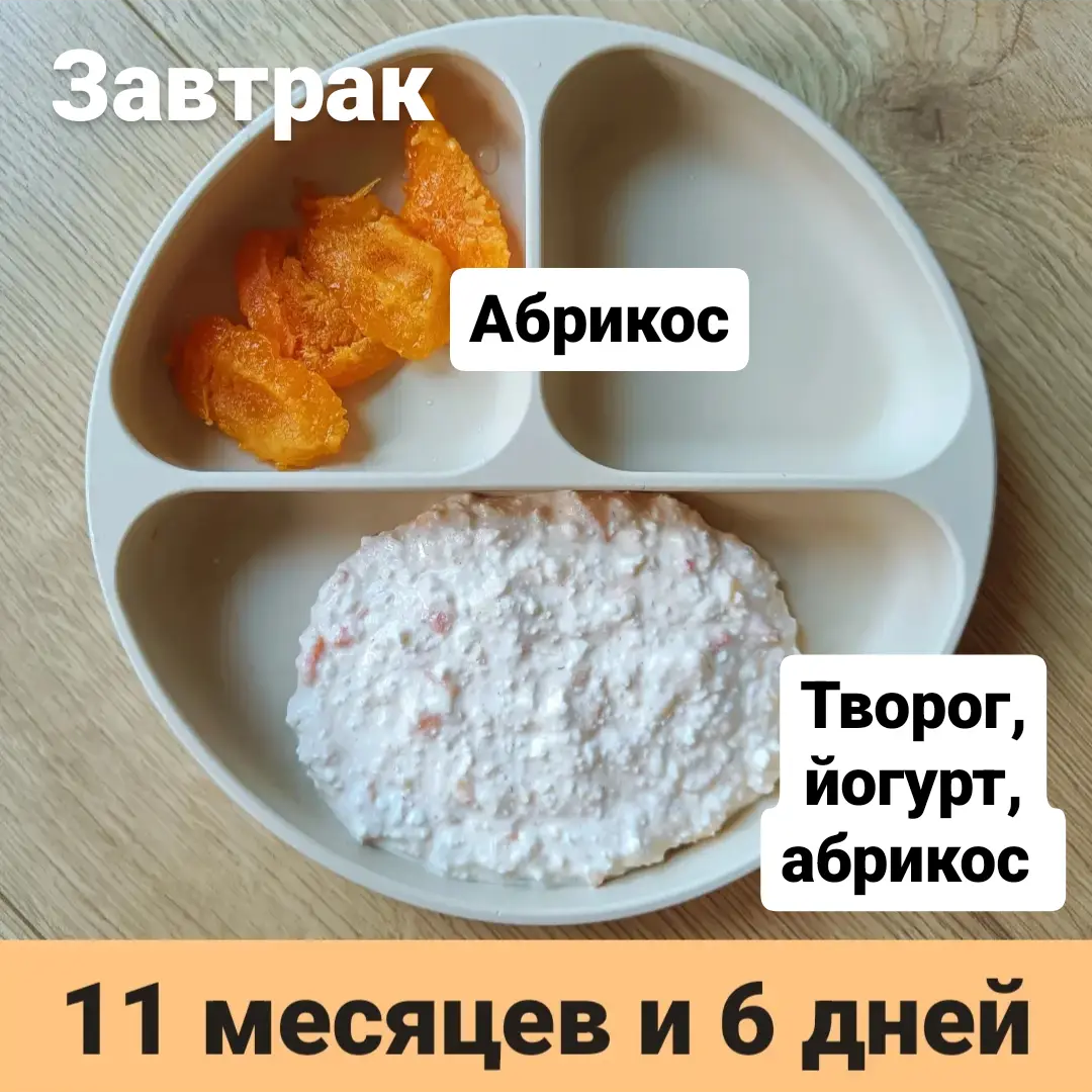 Пример тарелки в 11 месяцев 