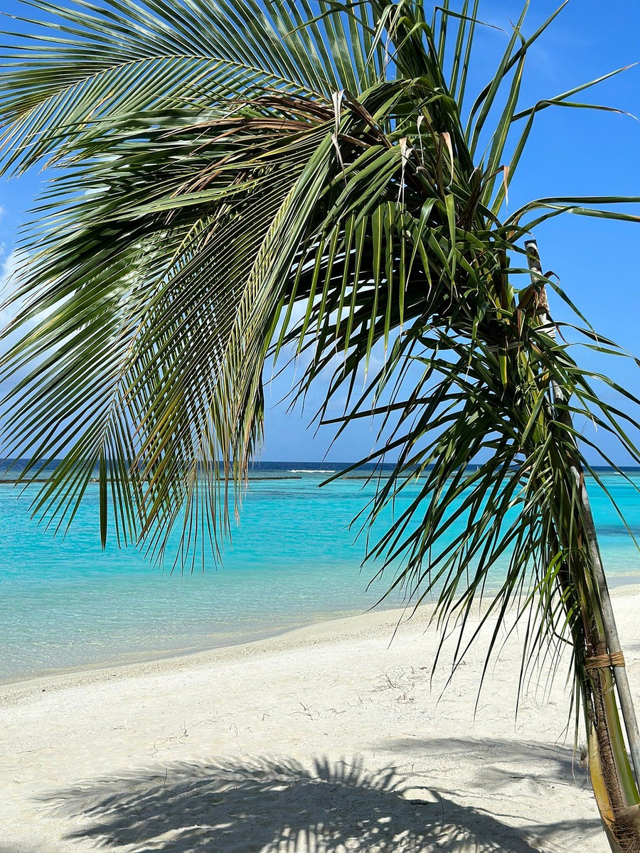 Kuramathi Island Resort 4*