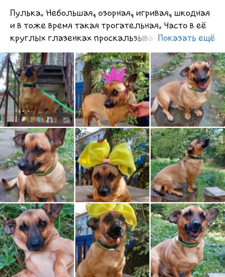 Ссылка — https://vk.com/wall-39049023_357277