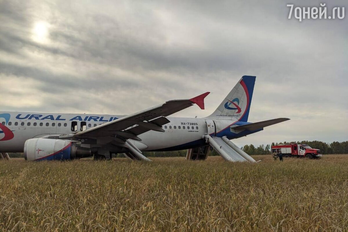    Самолет «Уральских авиалиний» Соцсети