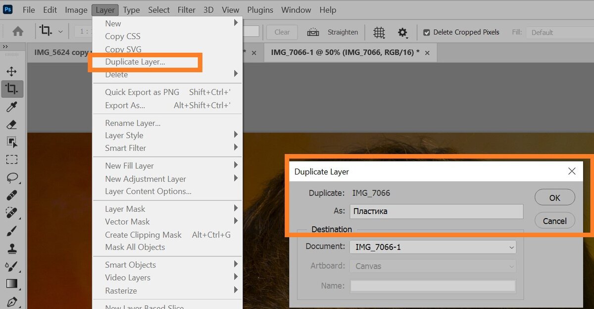    Назовите слой Пластика и нажмите Ок / Скриншот: Елизавета Чечевица