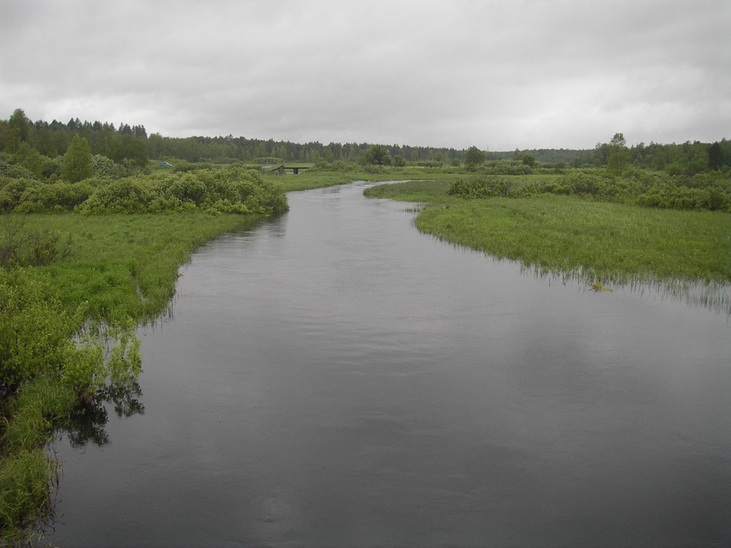 Вода кулой. Река Кулой Вологодская область. Кулой (река, впадает в белое море).