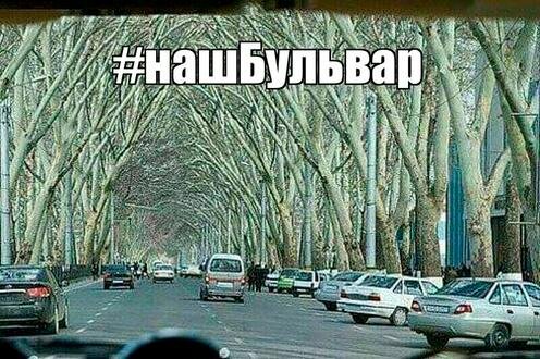  Фото из Facebook-группы "Я - самаркандец"