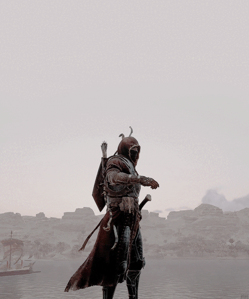 Assassin's Creed

giphy.com