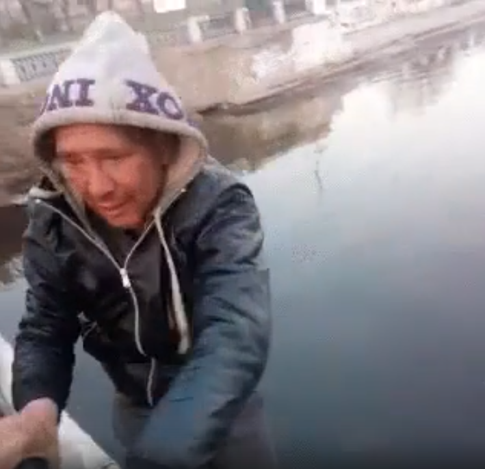 Кадр из видео