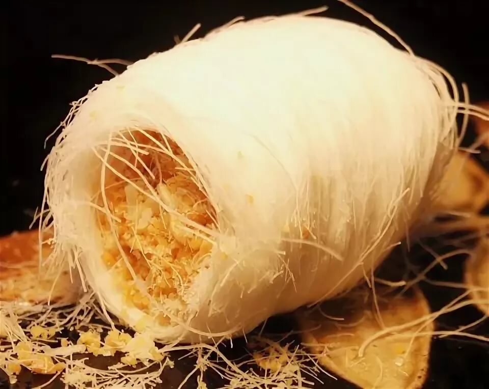 "Борода дракона"