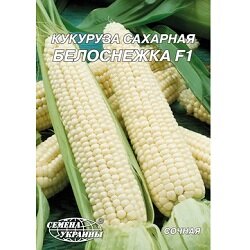 Семена кукурузы. 