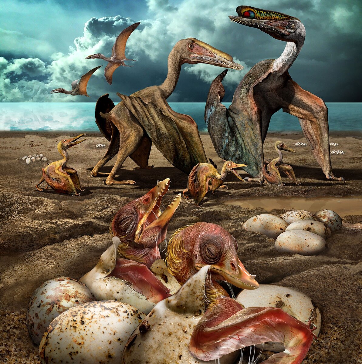 Гнездо Птерозавра.