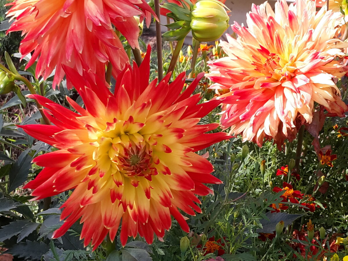 Фото из собственного архива