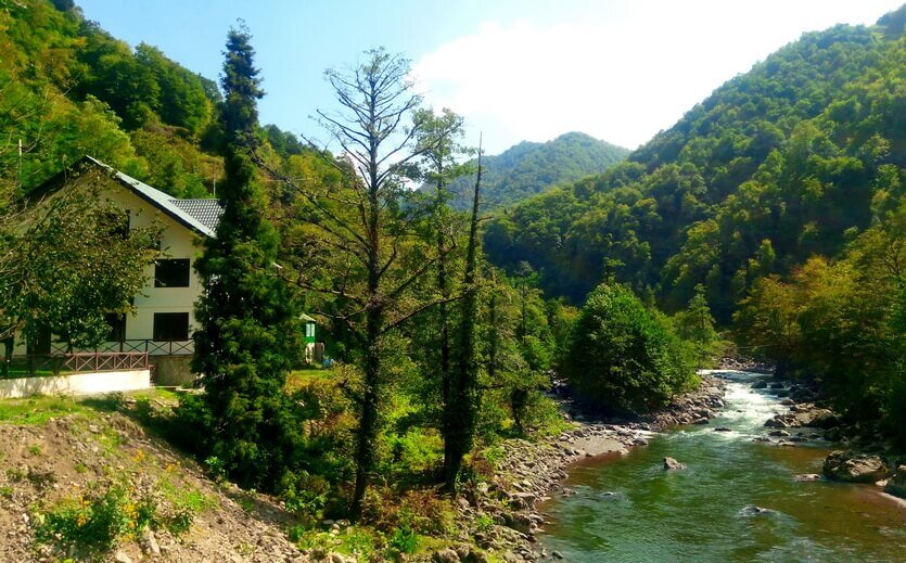 Национальный парк мачахела подвесной мост. Национальный парк мачахела в грузии. Батуми аджария грузия. Парк мачахела батуми. Ущелье мачахела в батуми.