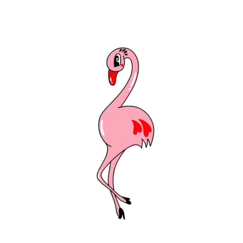 Фламинго иллюстрация. Танцующий Фламинго. Фламинго мультяшные. Прикольный Фламинго. Фламинго танцует