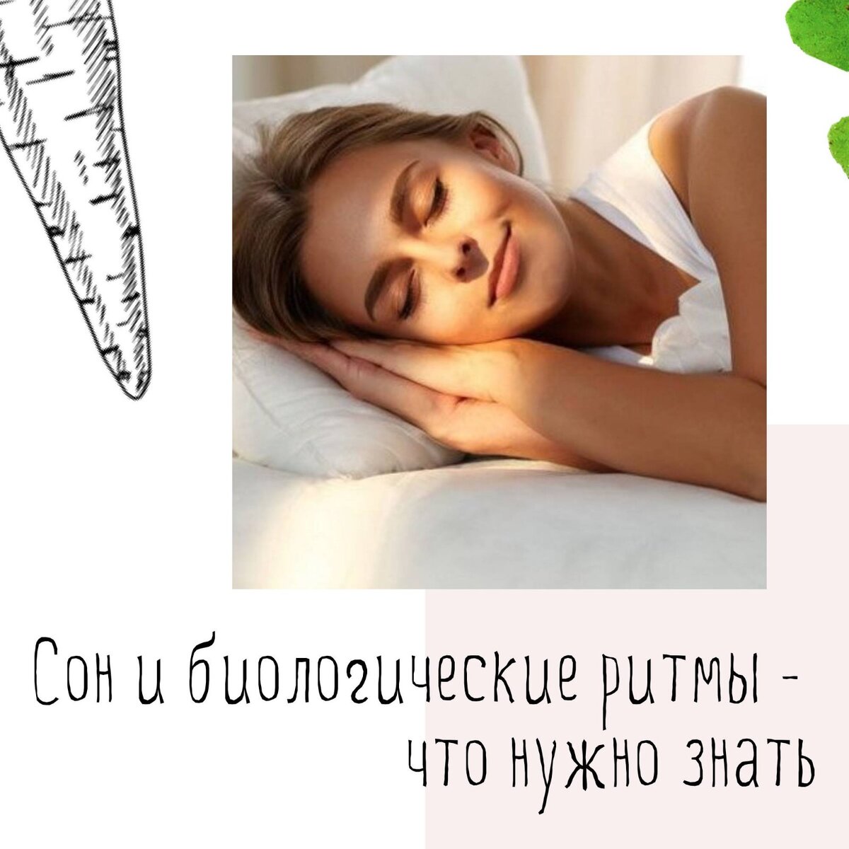 Сон крайне важен для биологического ритма