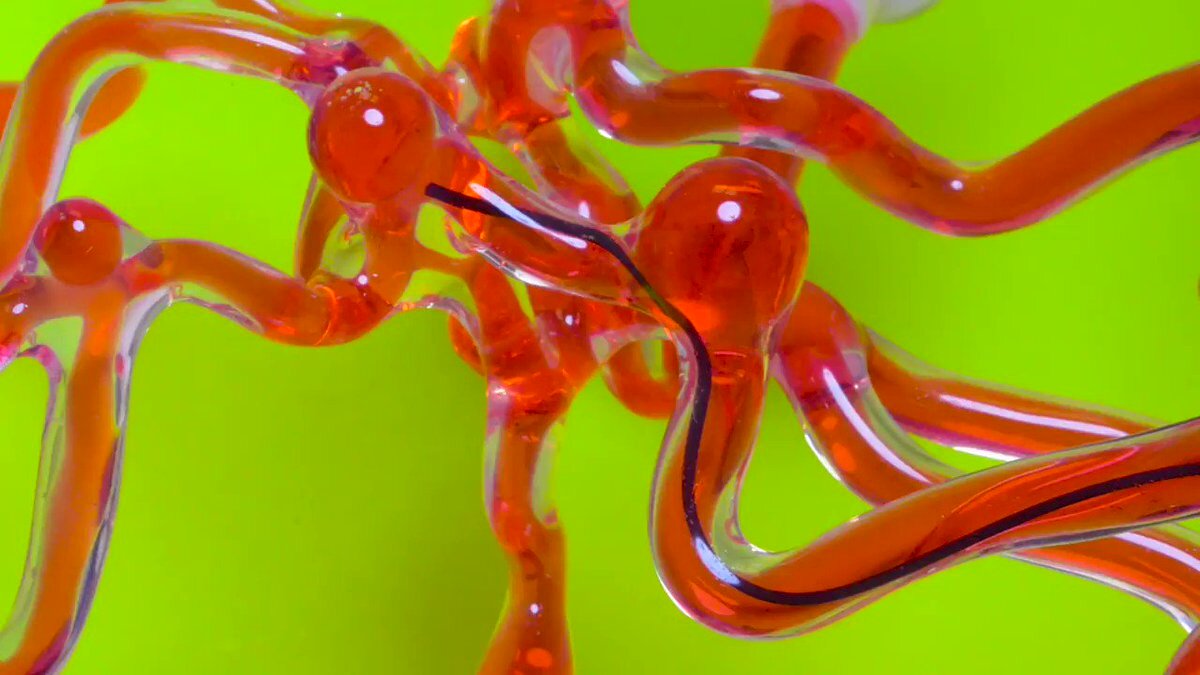 фото с сайта: twitock.com