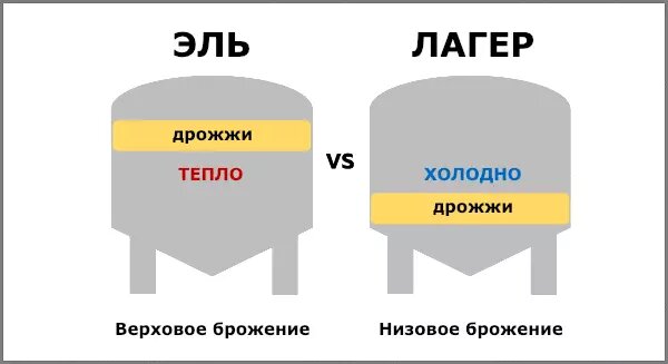 При верховом брожении дрожжи поднимаются наверх сусла, при низовом трудятся ближе ко дну