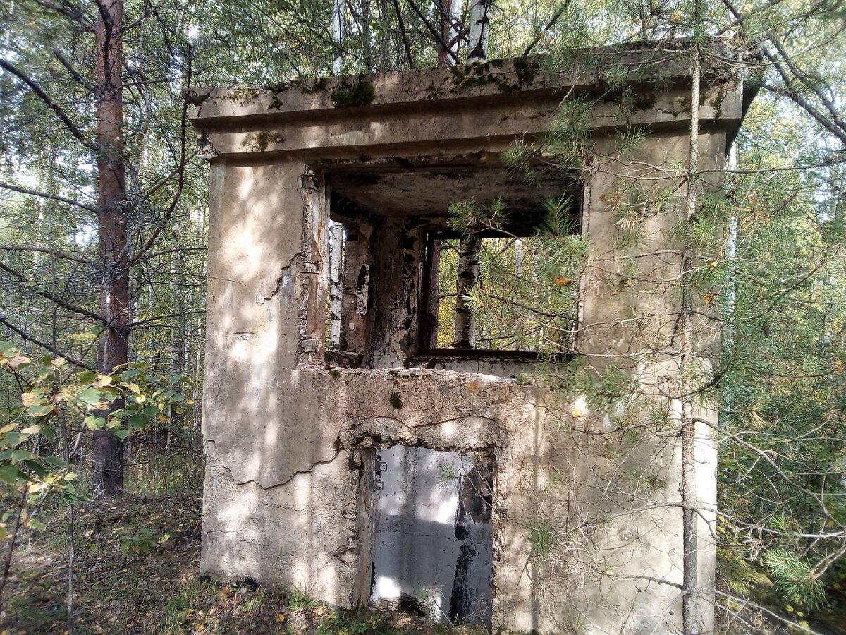 бункер в лесу фото